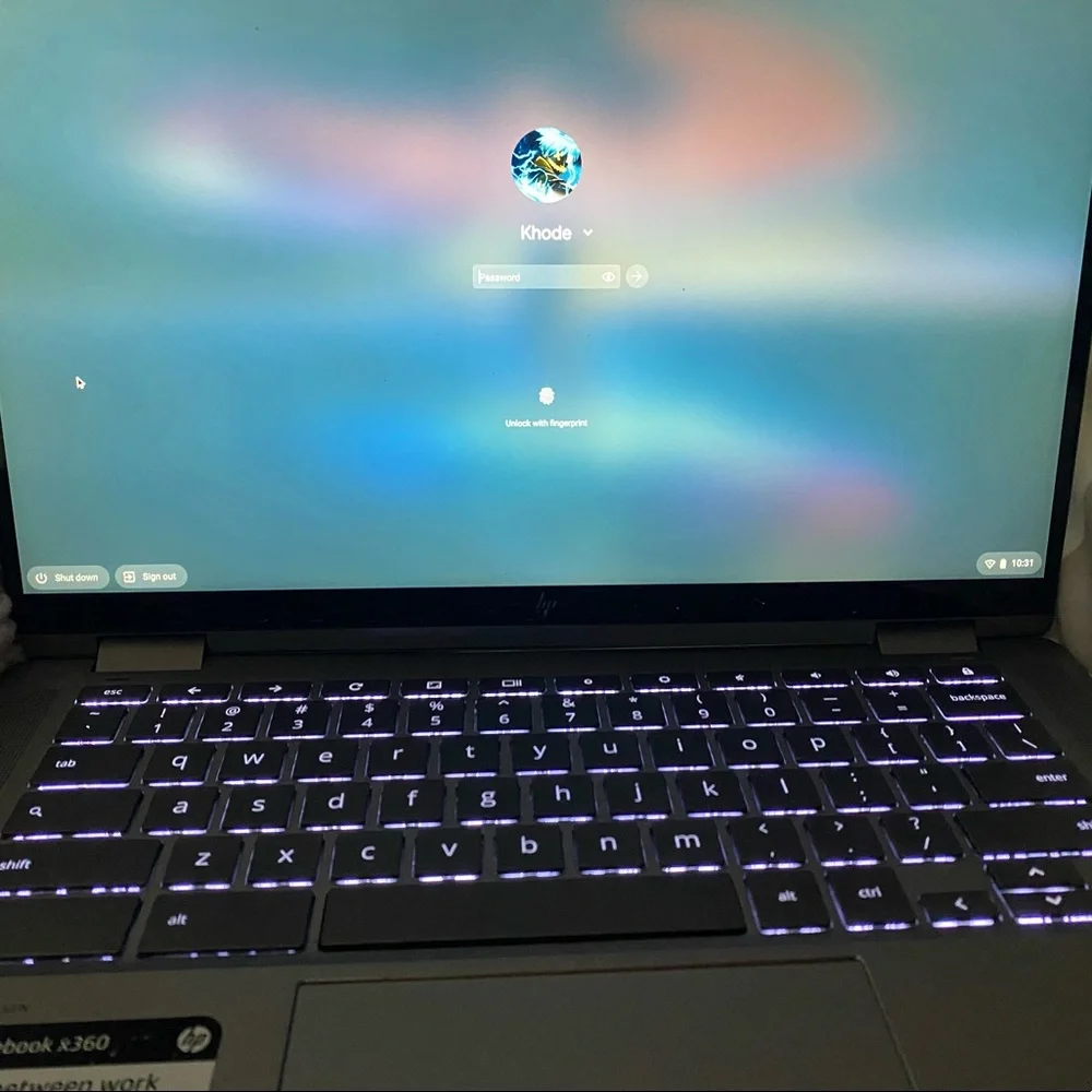 Hp touchscreen chromebook